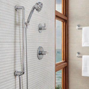 85735-GL Bathroom/Bathroom Tub & Shower Faucets/Handshowers