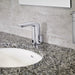 7755.303.002 General Plumbing/Commercial/Commercial Faucets