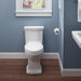 MS814224CUFG#01 Bathroom/Toilets Bidets & Bidet Seats/One Piece Toilets