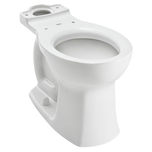 3519B101.020 Parts & Maintenance/Toilet Parts/Toilet Bowls Only