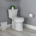 3519B101.020 Parts & Maintenance/Toilet Parts/Toilet Bowls Only