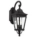 OL5421BK Lighting/Outdoor Lighting/Outdoor Wall Lights