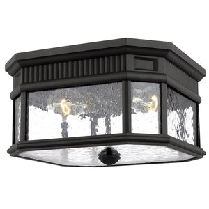 OL5433BK Lighting/Outdoor Lighting/Outdoor Flush & Semi-Flush Lights