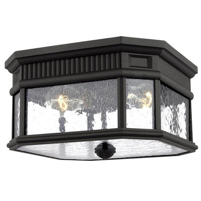 Product Image: OL5433BK Lighting/Outdoor Lighting/Outdoor Flush & Semi-Flush Lights