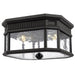 OL5433BK Lighting/Outdoor Lighting/Outdoor Flush & Semi-Flush Lights