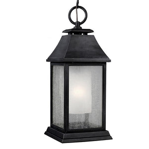 OL10611DWZ Lighting/Outdoor Lighting/Outdoor Pendants