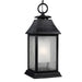 OL10611DWZ Lighting/Outdoor Lighting/Outdoor Pendants