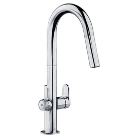 Beale MeasureFill Single Handle Pull-Down Kitchen Faucet