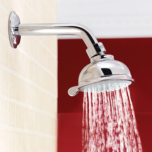 26045001 Bathroom/Bathroom Tub & Shower Faucets/Showerheads