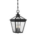 5-146-BK Lighting/Outdoor Lighting/Outdoor Pendants