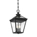 5-146-BK Lighting/Outdoor Lighting/Outdoor Pendants
