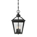 5-146-BK Lighting/Outdoor Lighting/Outdoor Pendants