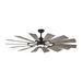 14PRR62AGPD Lighting/Ceiling Lights/Ceiling Fans