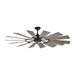 14PRR62AGPD Lighting/Ceiling Lights/Ceiling Fans