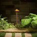 15450TZT Lighting/Outdoor Lighting/Landscape & Path Lighting