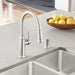442500 Kitchen/Kitchen Faucets/Pull Down Spray Faucets