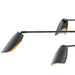 FR35806BLK Lighting/Ceiling Lights/Chandeliers