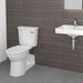 209AA138.020 Bathroom/Toilets Bidets & Bidet Seats/Two Piece Toilets
