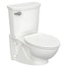 2882107.020 General Plumbing/Commercial/Commercial Toilets