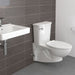 2882107.020 General Plumbing/Commercial/Commercial Toilets