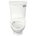2882108.020 Bathroom/Toilets Bidets & Bidet Seats/Two Piece Toilets