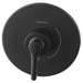 TU105500.243 Bathroom/Bathroom Tub & Shower Faucets/Shower Only Faucet Trim