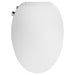 8019A60GPC.020 Bathroom/Toilets Bidets & Bidet Seats/Bidet Seats