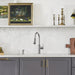 442501 Kitchen/Kitchen Faucets/Pull Down Spray Faucets