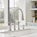 442505 Kitchen/Kitchen Faucets/Pull Down Spray Faucets