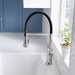 442509 Kitchen/Kitchen Faucets/Semi-Professional Faucets