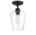 6-4037-1-BK Lighting/Ceiling Lights/Flush & Semi-Flush Lights