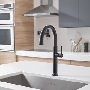 4803300.243 Kitchen/Kitchen Faucets/Kitchen Faucets without Spray