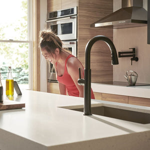 4803300.243 Kitchen/Kitchen Faucets/Kitchen Faucets without Spray