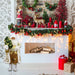 FASC036M-19WHTGLD Holiday/Christmas/Christmas Indoor Decor