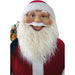 FASC058D-14RED Holiday/Christmas/Christmas Indoor Decor