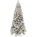 FFAF075-5SN Holiday/Christmas/Christmas Trees