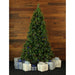 FFCM075-6GREZ Holiday/Christmas/Christmas Trees