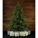 FFFX090-3GR Holiday/Christmas/Christmas Trees