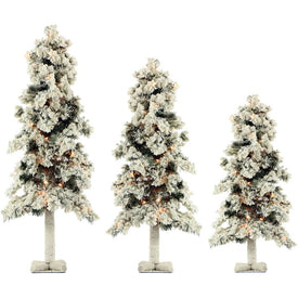 2-Ft., 3-Ft., and 4-Ft. Snowy Alpine Trees with Clear Lights Set of 3