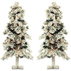 2-Ft. Snowy Alpine Trees with Clear Lights Set of Two