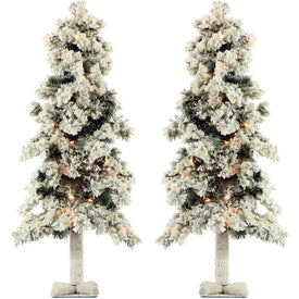 3-Ft. Snowy Alpine Trees with Clear Lights Set of Two