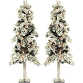4-Ft. Snowy Alpine Trees with Clear Lights Set of Two