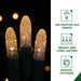FFCHLED030-STR0-WT Holiday/Christmas/Christmas Outdoor Decor