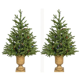 3-Ft. Noble Fir Artificial Trees with Metallic Urn Bases and Battery-Operated Multi-Colored LED String Lights Set of 2