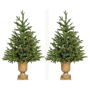 FFNF042-6GRB/SET2 Holiday/Christmas/Christmas Trees
