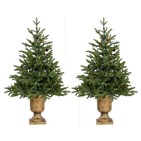 4-Ft. Noble Fir Artificial Trees with Metallic Urn Bases Set of 2