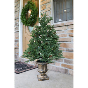 FFNF056-5GRB Holiday/Christmas/Christmas Trees