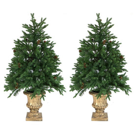 4-Ft. Noble Fir Artificial Trees with Metallic Urn Bases and LED String Lights Set of 2