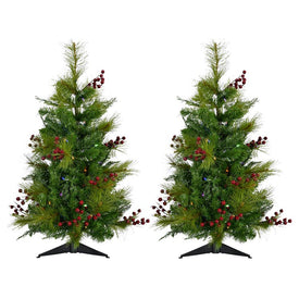 3-Ft. Newberry Pine Artificial Trees with Battery-Operated Multi-Colored LED String Lights Set of 2