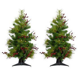 4-Ft. Newberry Pine Artificial Trees with LED String Lights Set of 2